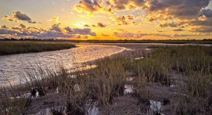 Coskata Coatue Wildlife Refuge, Nantucket
